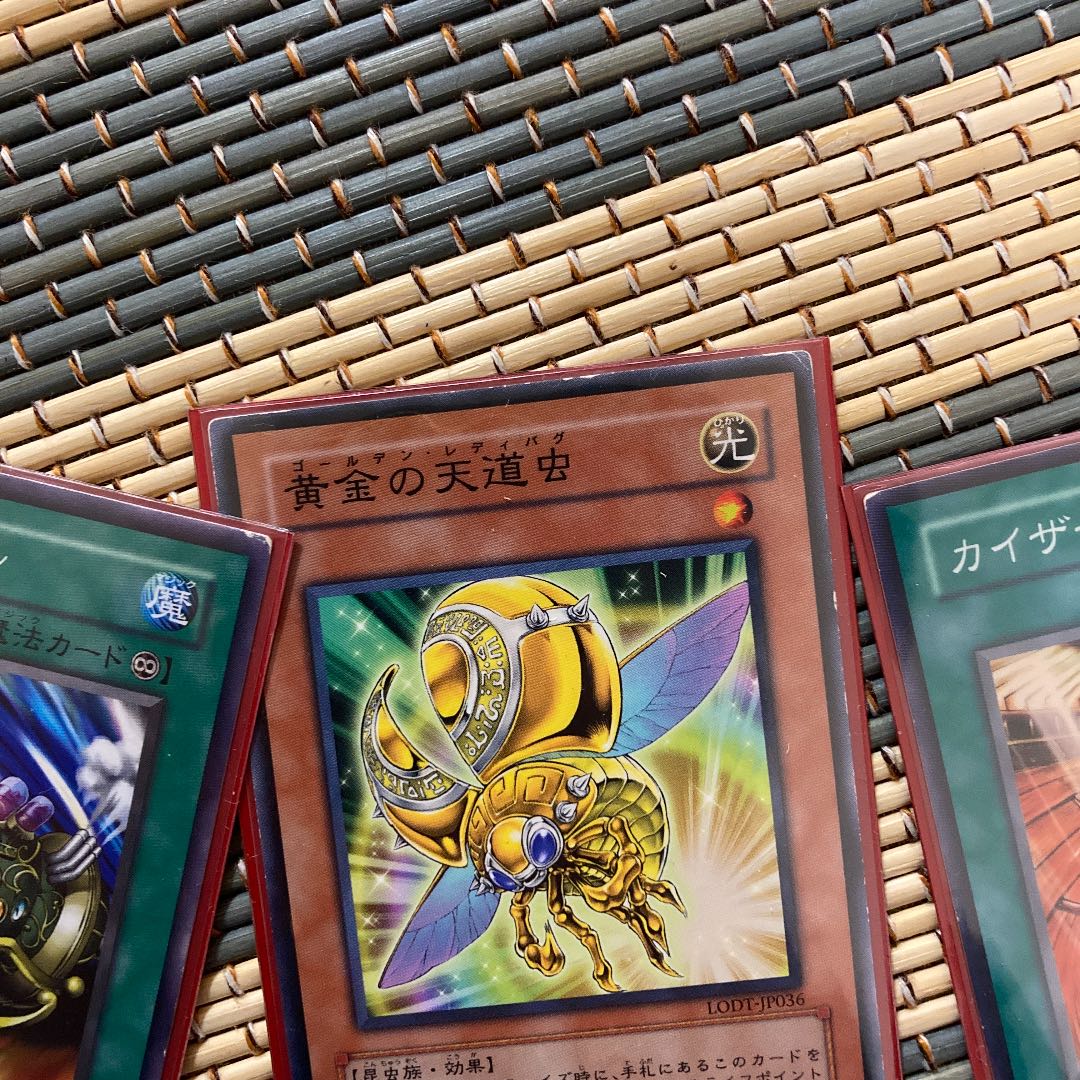 即発送 ネタ構築/ジョウゲンデッキ メイン40+カスタム用サイド50 ぽん山