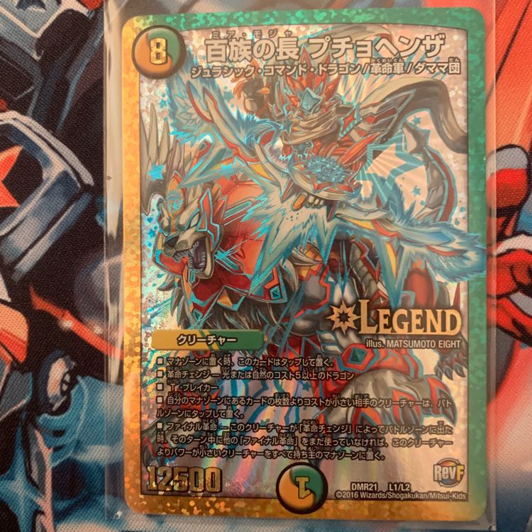 百族の長 プチョヘンザ 1枚