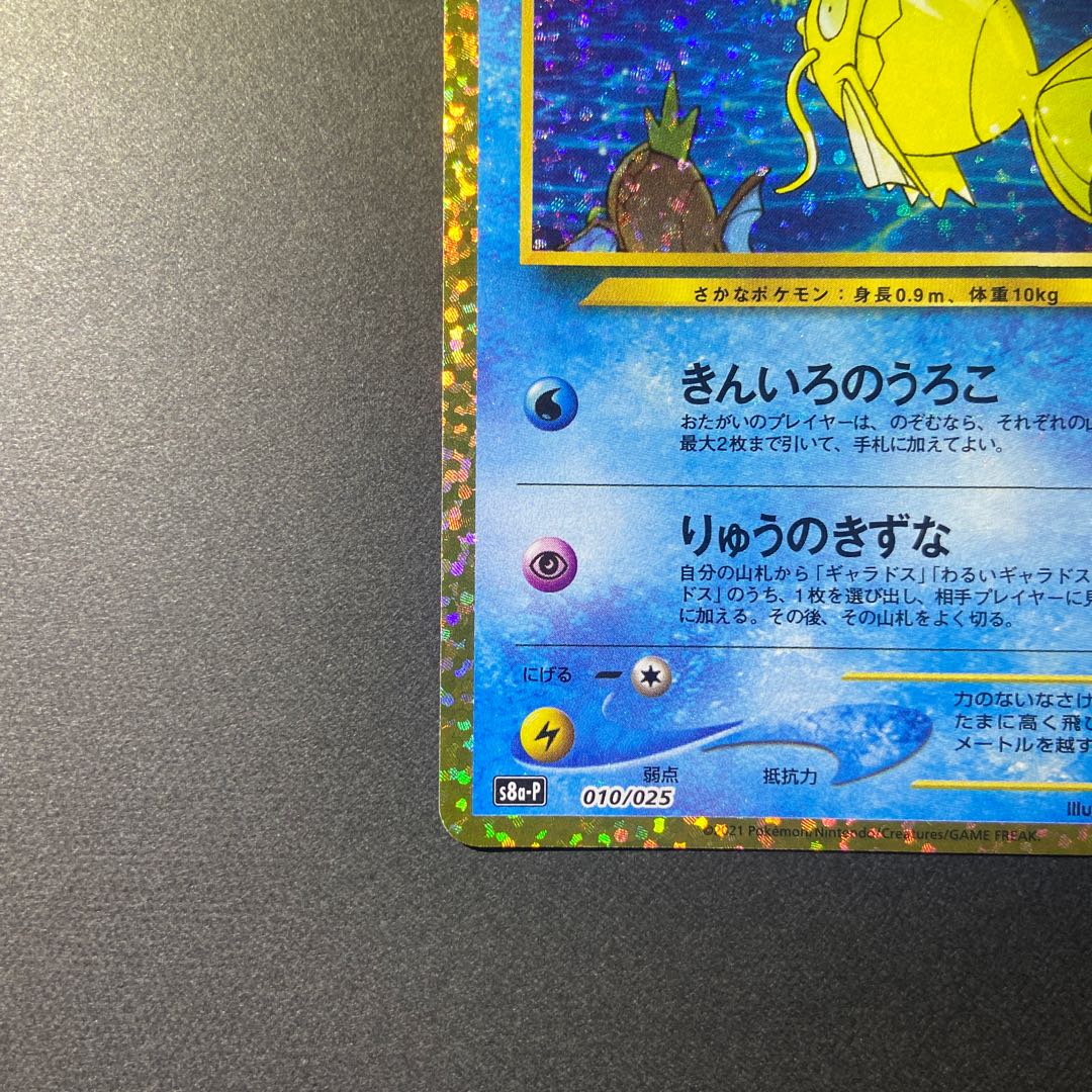 ひかるコイキング 25th