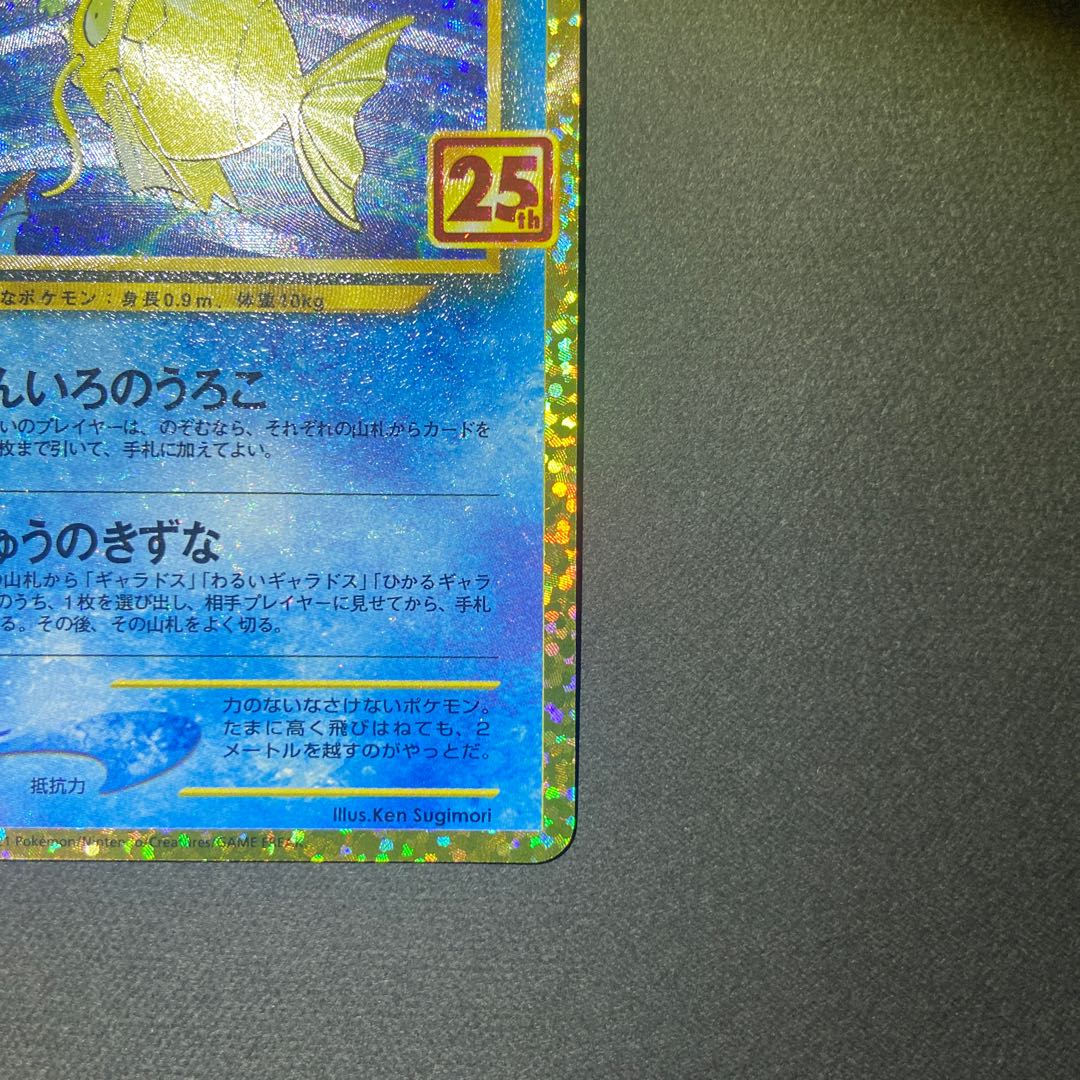 ひかるコイキング 25th