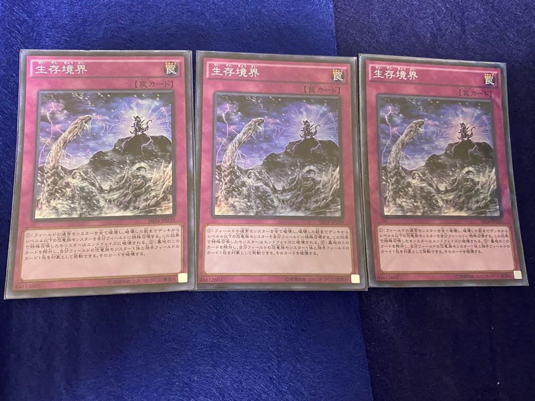 生存境界 スーパーレア 3枚セット