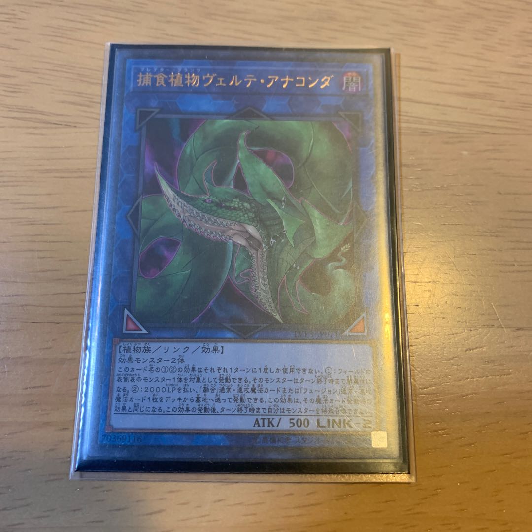 捕食植物ヴェルテ・アナコンダ ウルトラレア