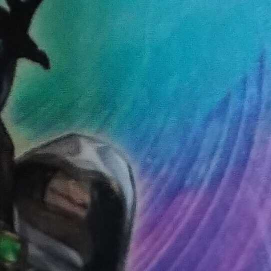 ディメンション・アトラクター　2枚