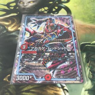 アカカゲ・レッドシャドウ