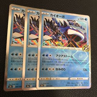 25th カイオーガ　（ミラー仕様）