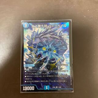 水上第九院 シャコガイル