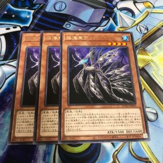 揺海魚デッドリーフ レア　Hulu 2988