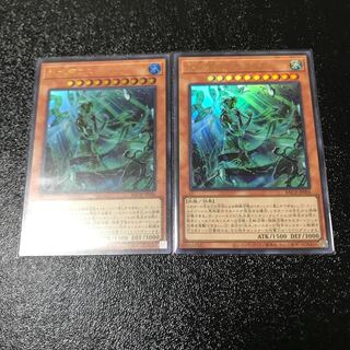 氷水帝コスモクロア ウルトラレア　2枚セット