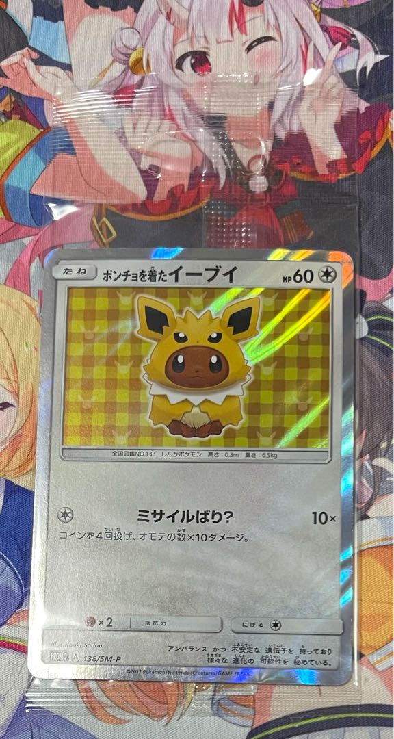 Eevee in a poncho