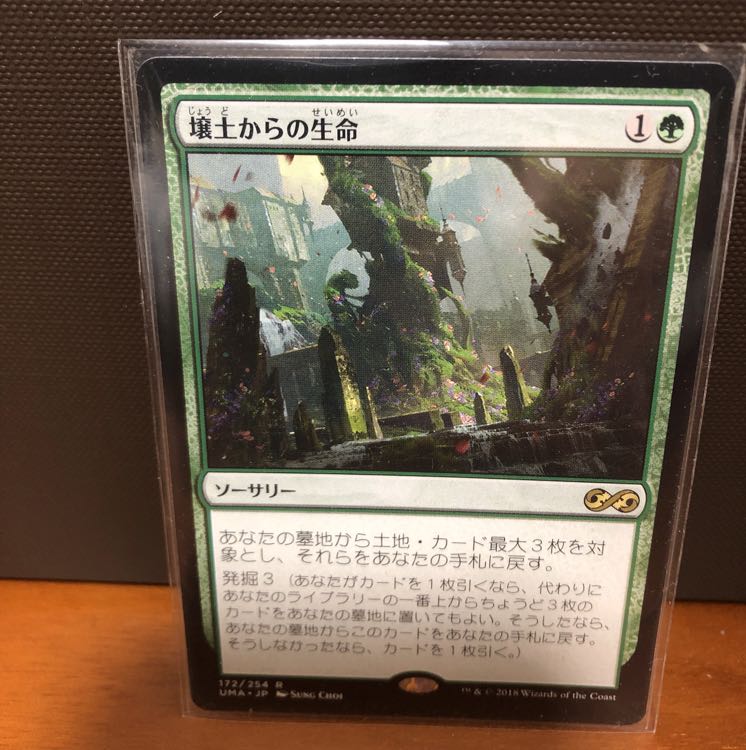 壌土からの生命