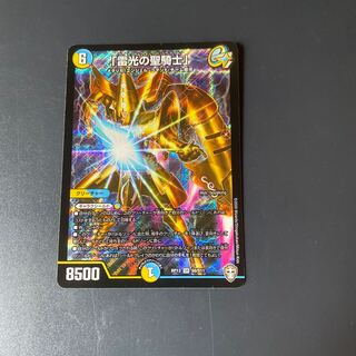 「雷光の聖騎士」