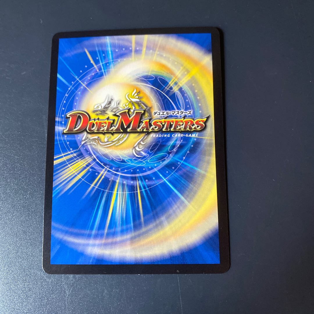 「雷光の聖騎士」