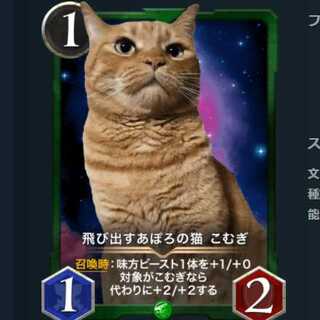 飛び出すあぽろの猫 こむぎ