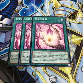 聖蔓の播種 ノーマル　Hulu 3010