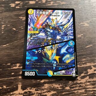 天命龍装ホーリーエンド