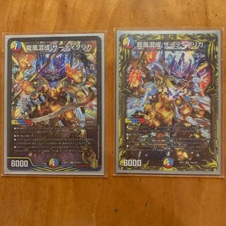 龍風混成 ザーディクリカ2枚