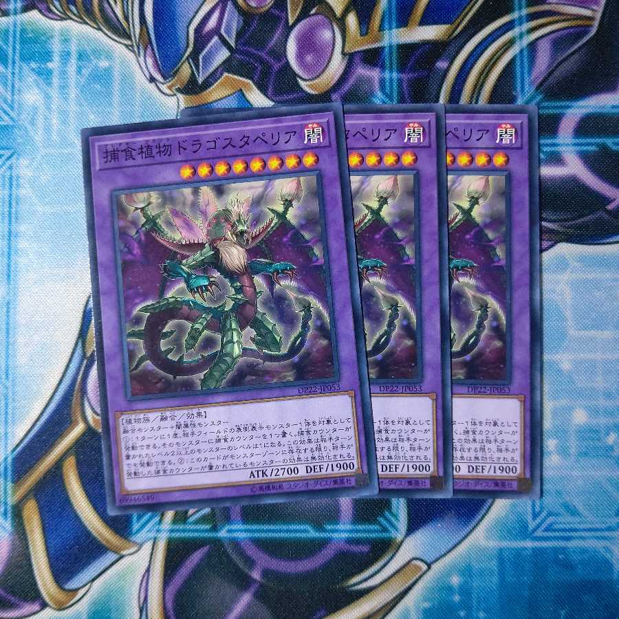 捕食植物ドラゴスタペリア ノーマル 3枚セット