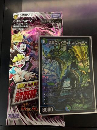 流星のガイアッシュ・カイザー