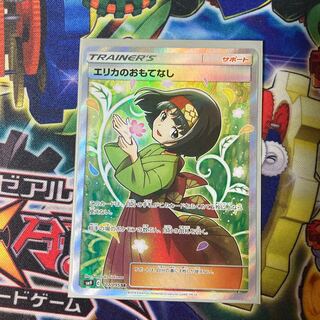 エリカのおもてなし SR