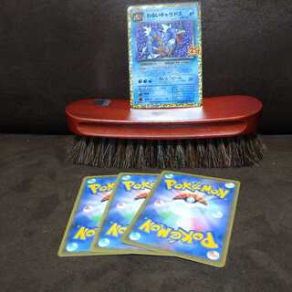 ポケカ 25th アニバーサリー 25周年 プロモ わるいギャラドス +おまけ