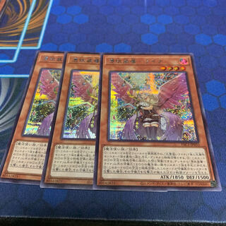 憑依装着-ライナ（イラスト違い版） シークレットレア