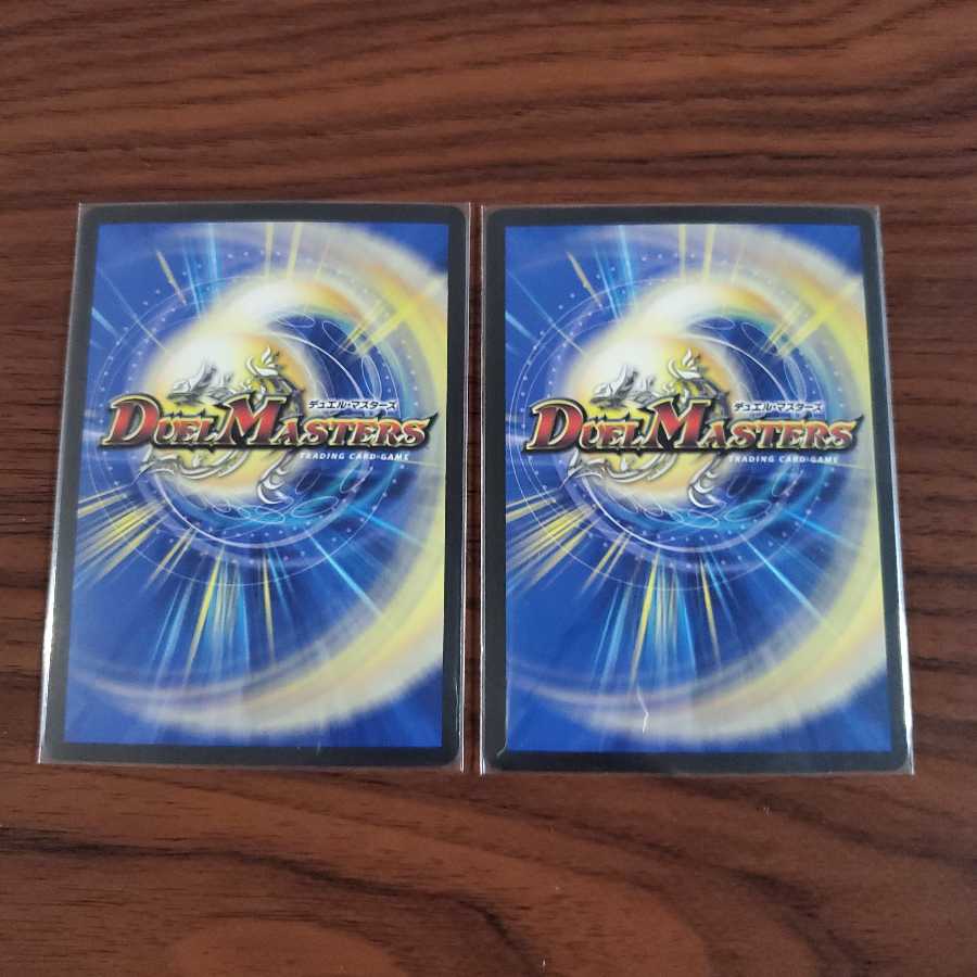 禁断竜王 Vol-Val-8 2枚