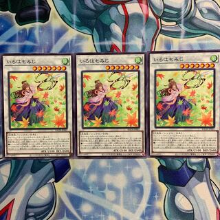 【N】いろはもみじ 3枚 BACH-JP042