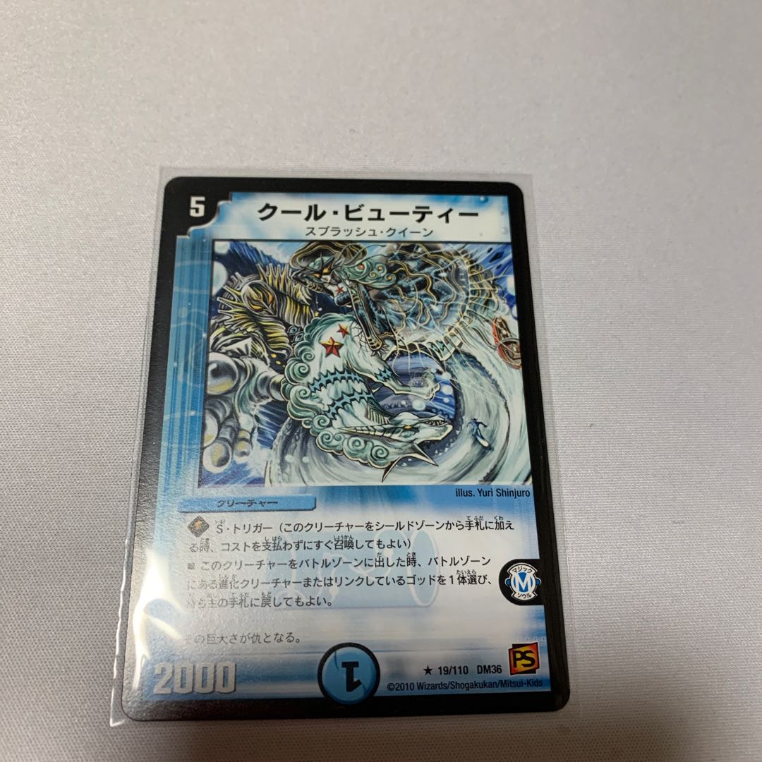 クール・ビューティー