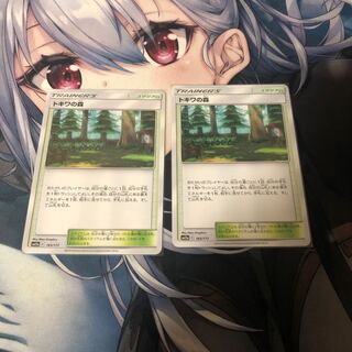 トキワの森 2枚