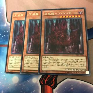 天威龍-ヴィシュダ