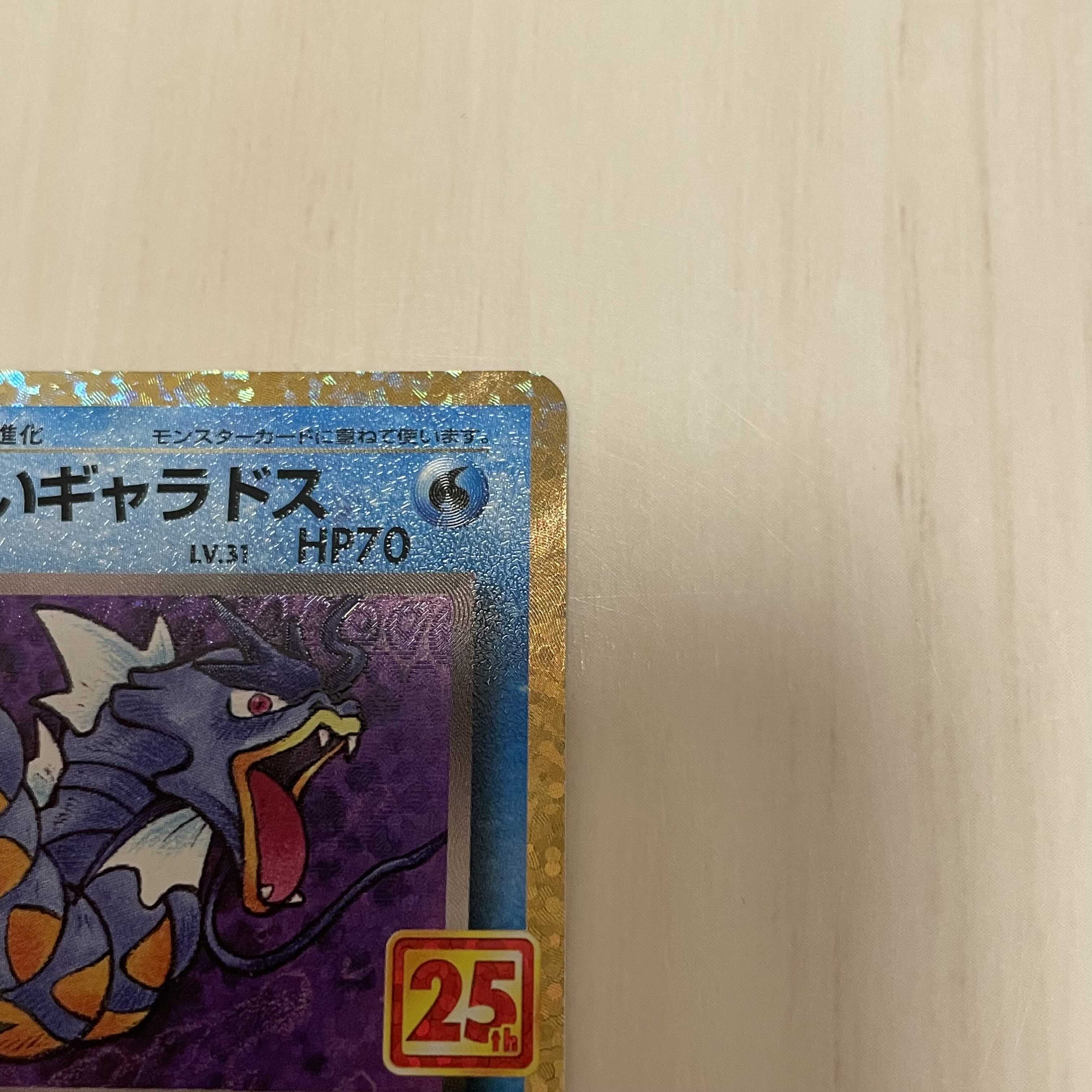 わるいギャラドス PROMO