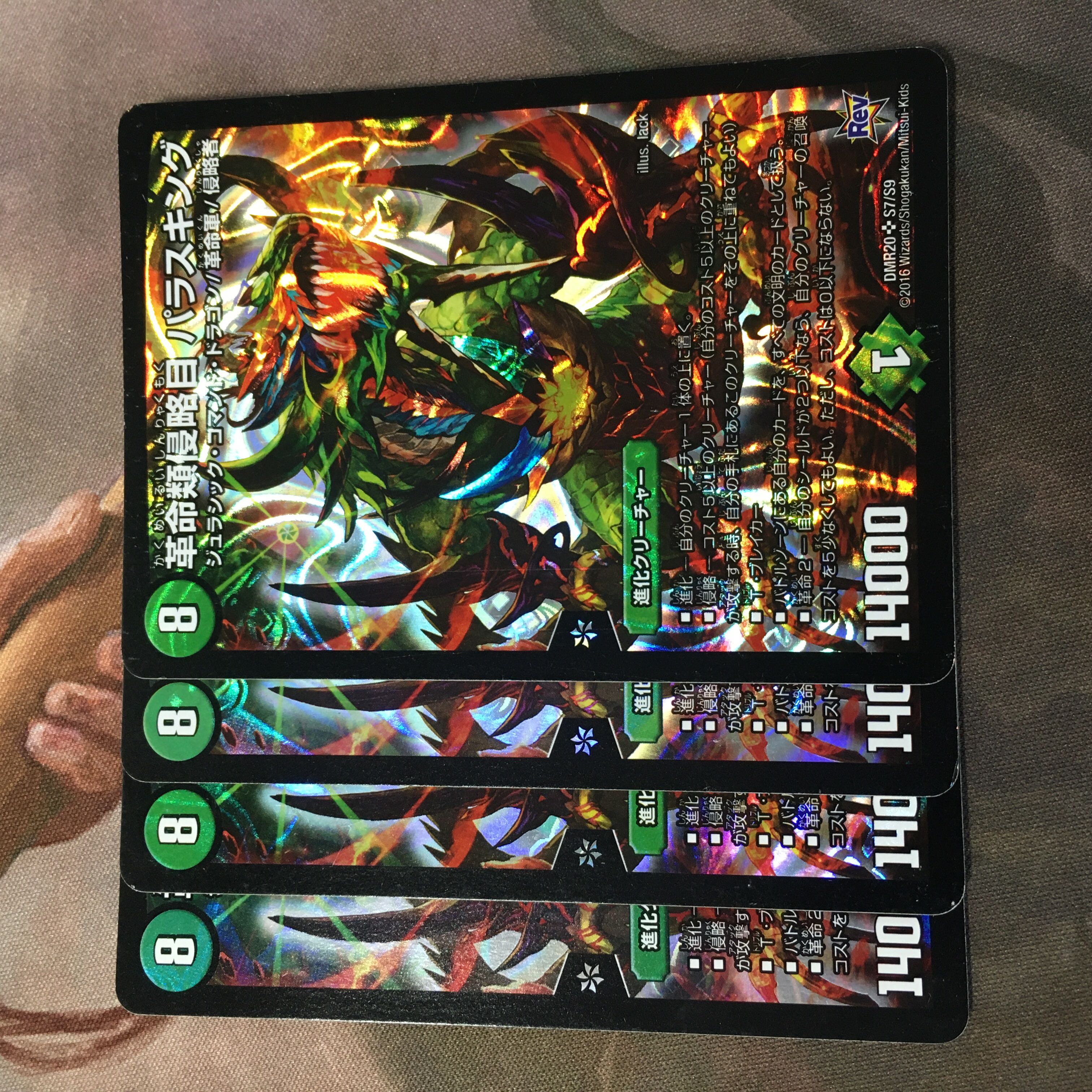 革命類侵略目 パラスキング