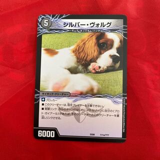 シルバー・ヴォルグ｜撃墜王ガイアール・キラードラゴン(下)