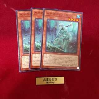 氷水のティノーラ ノーマル　他オーダー