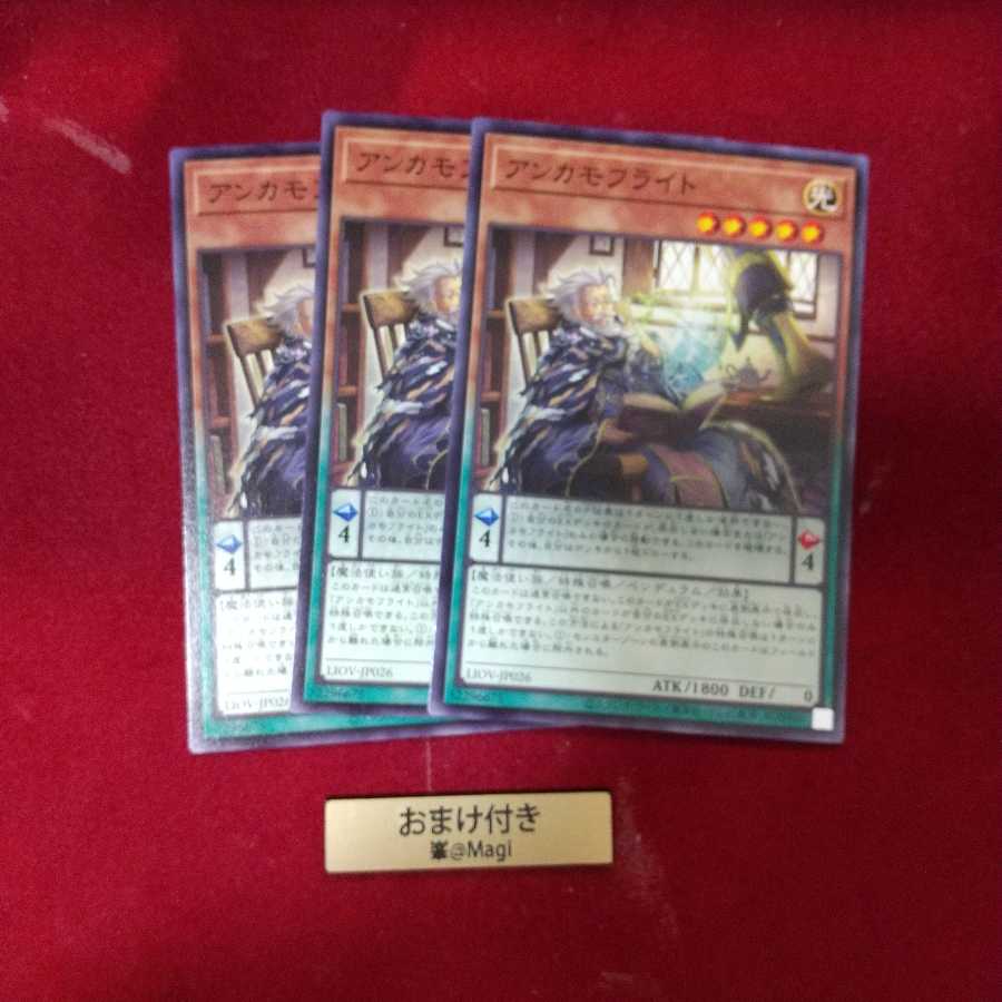 アンカモフライト ノーマル