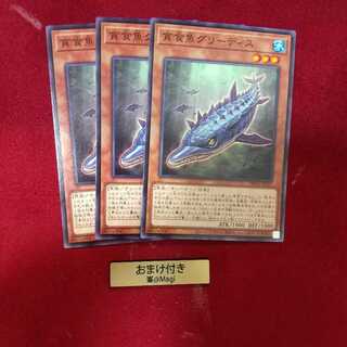 貪食魚グリーディス ノーマル　他オーダー