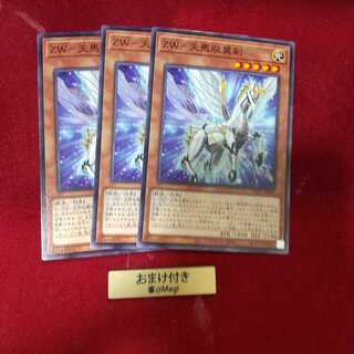 ZW-天馬双翼剣 ノーマル