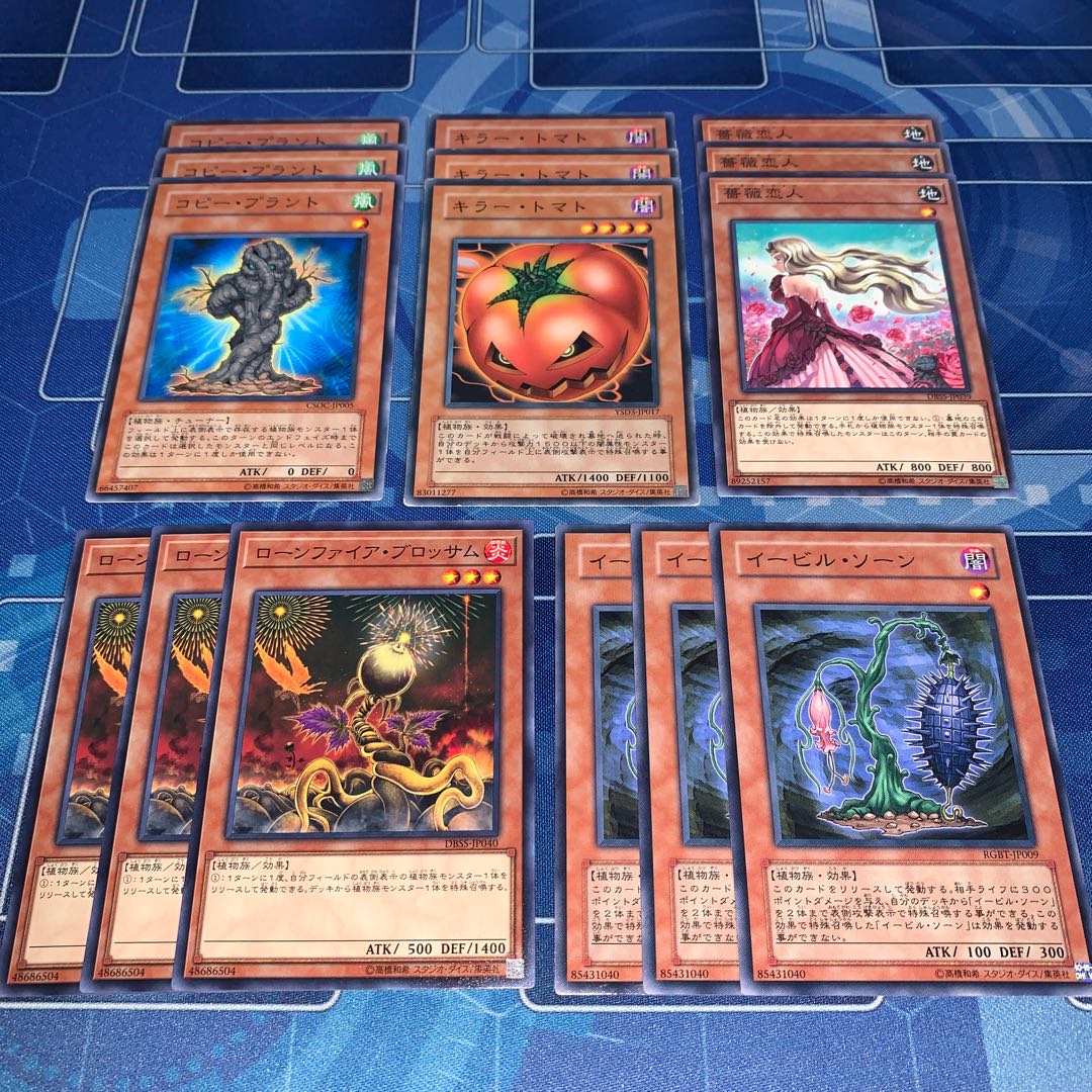 No.149 Plant Set Evil Thorn Aromage Rose Dragon Mushrooms