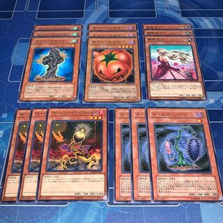 No.149 Plant Set Evil Thorn Aromage Rose Dragon Mushrooms