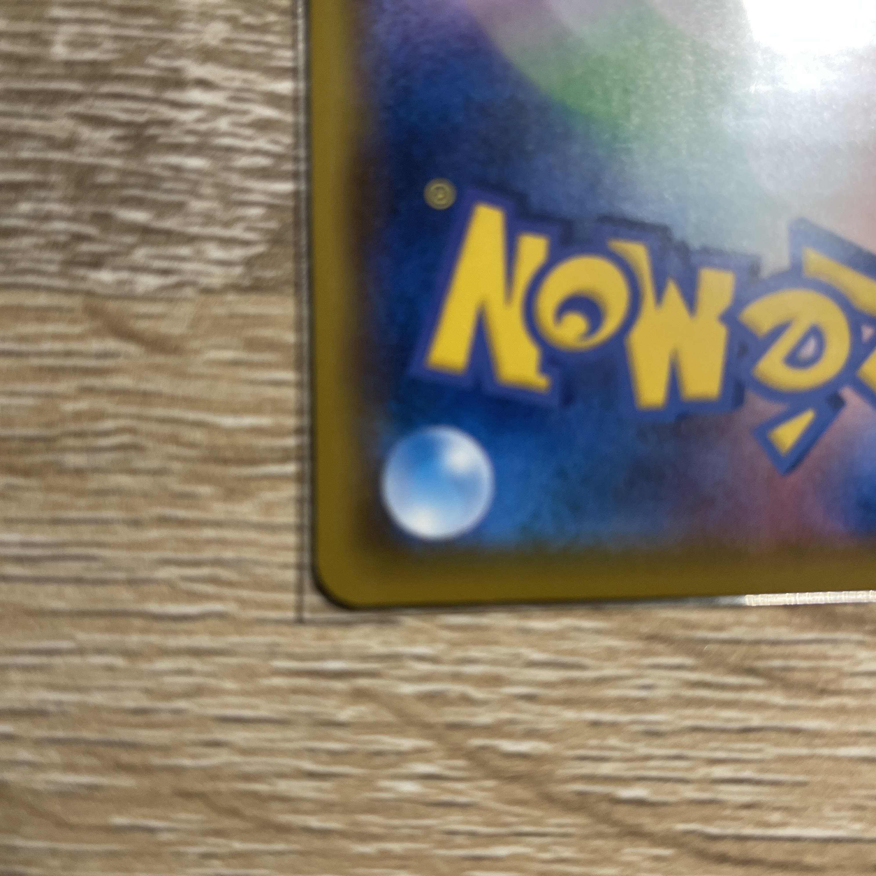 レシラム カメックス プロモ 25th プロモパック