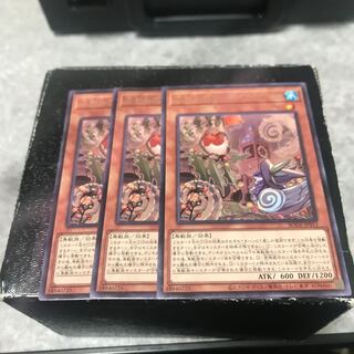 ふわんだりぃず×ろびーな レア3枚