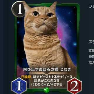 飛び出すあぽろの猫 こむぎ