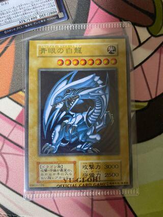 青眼の白龍ステンレス