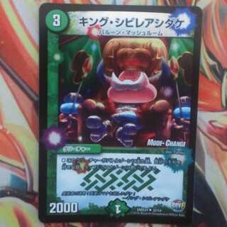 キング・シビレアシダケ