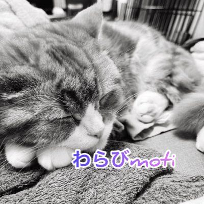 第9回夢オリパ~激アツ1000円オリパ！~ 完売！