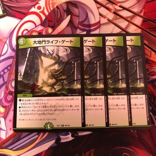 大地門ライフ・ゲート　4枚