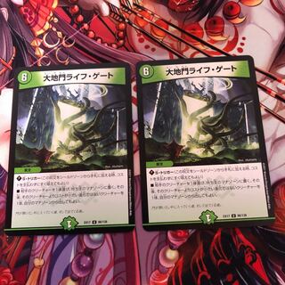 大地門ライフ・ゲート　2枚