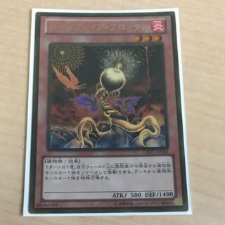 ローンファイア・ブロッサム