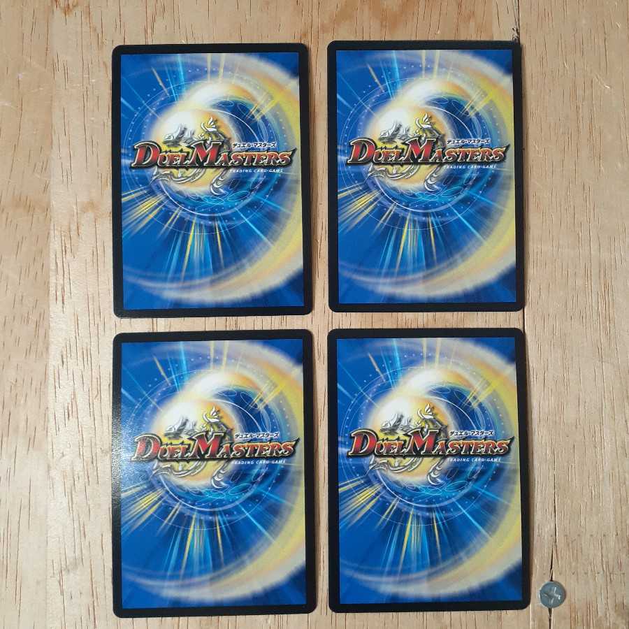 煌龍 サッヴァーク 2枚セット