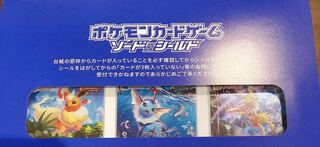 夏ポケカ　ブースターVMAX SA